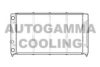 AUTOGAMMA 105570 Radiator, engine cooling